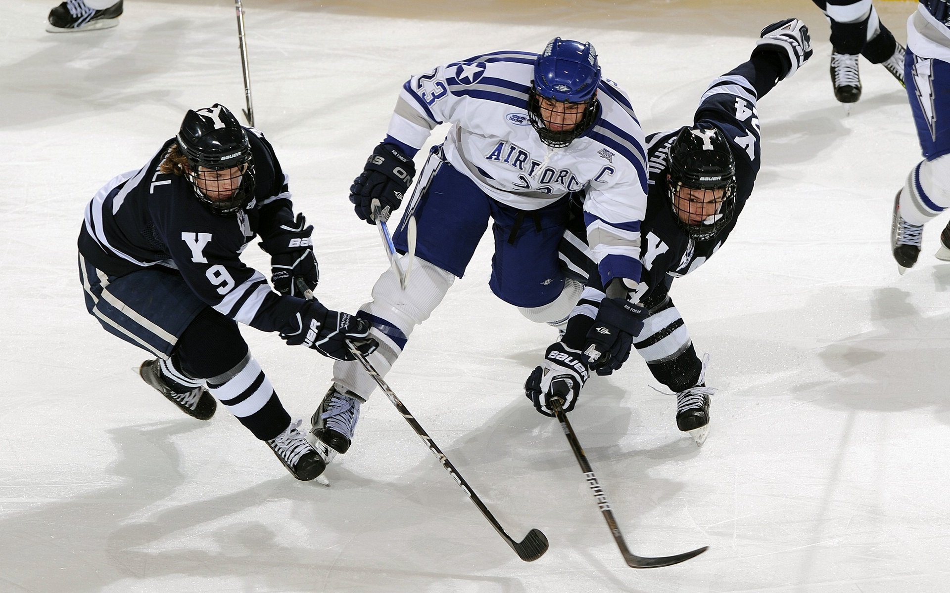 爱游戏-_自行车文化节:骑行中发现城市的另一面_,骑行发现城市之美